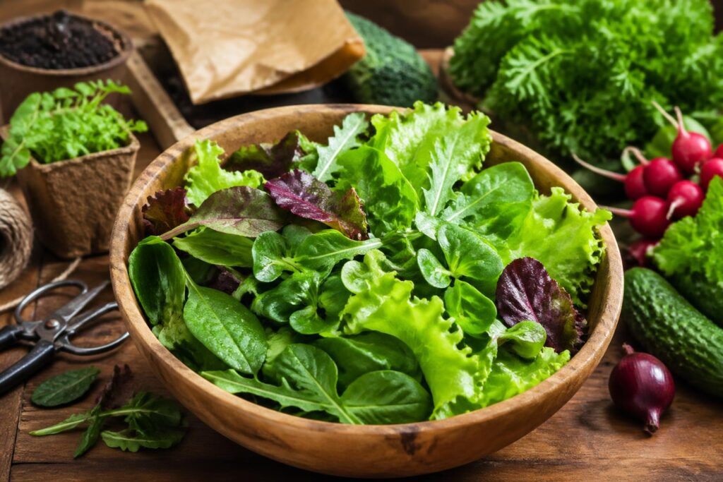 découvrez tout sur le mesclun : conseils de préparation et bienfaits santé pour sublimer vos salades au quotidien.