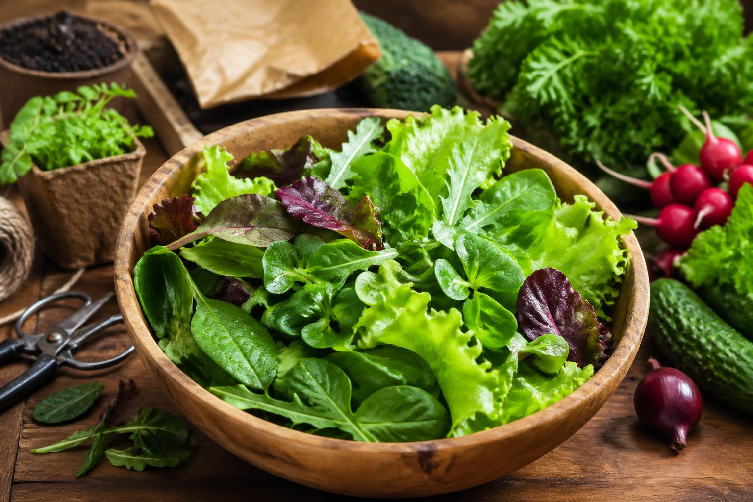 découvrez tout sur le mesclun : conseils de préparation et bienfaits santé pour sublimer vos salades au quotidien.